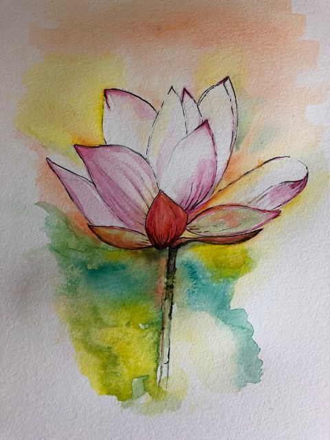 Lotus Flower